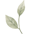 Decorative watercolor green leaves