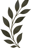 Decorative dark green leafy branch